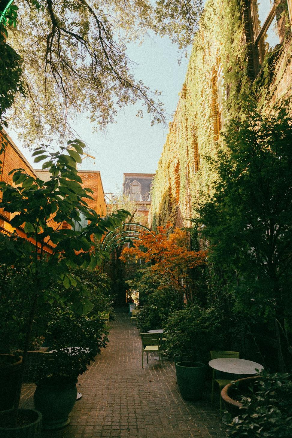 University Green Courtyard