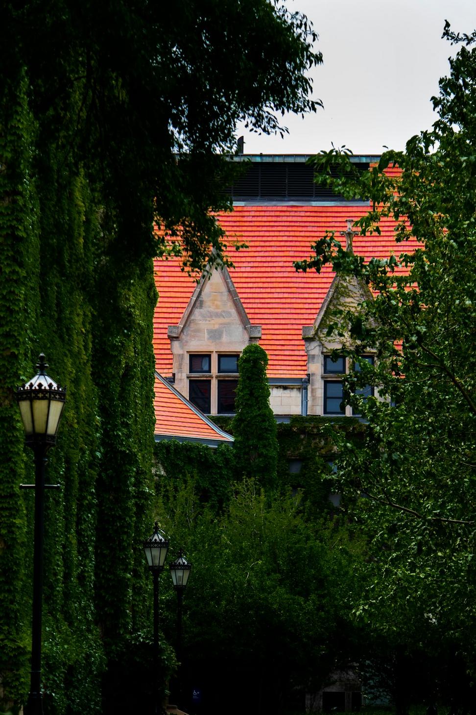 Urban Oasis Townhomes