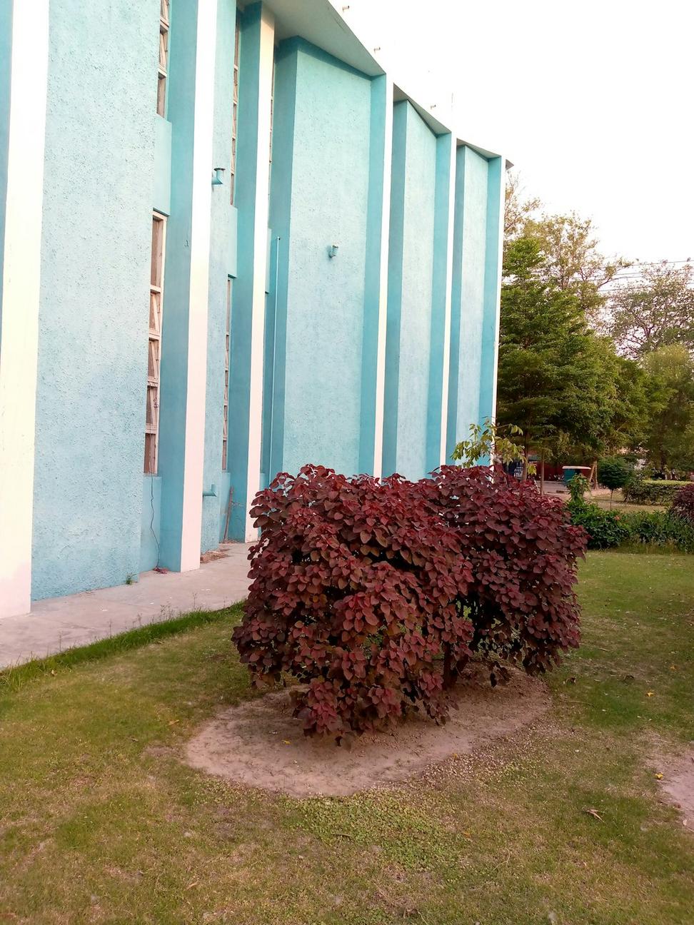 Sustainable Learning Center
